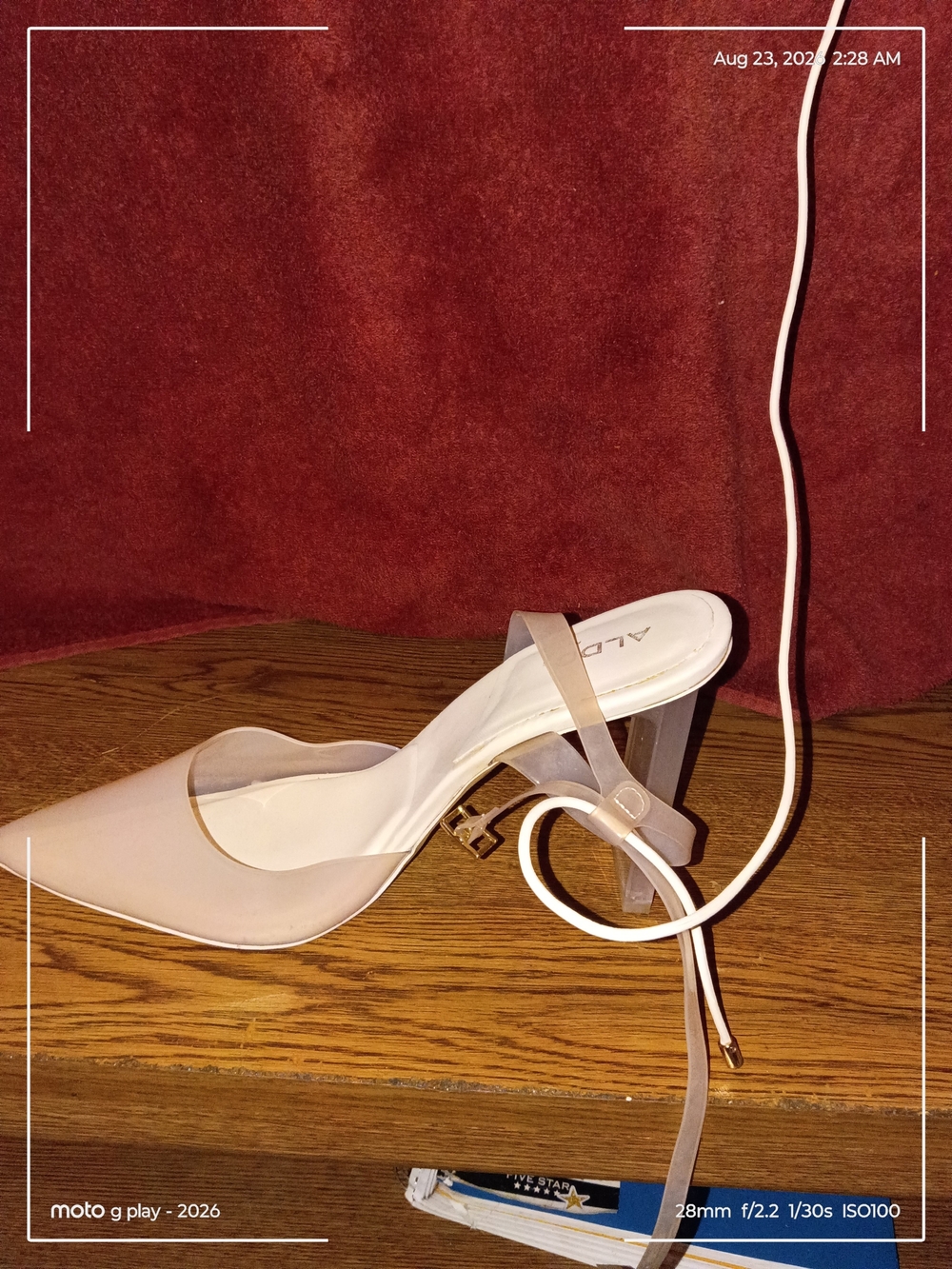 Aldo Blush Nude Pointed Clear Block Heel Slingbacks